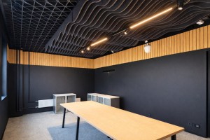 Акустические баффлы